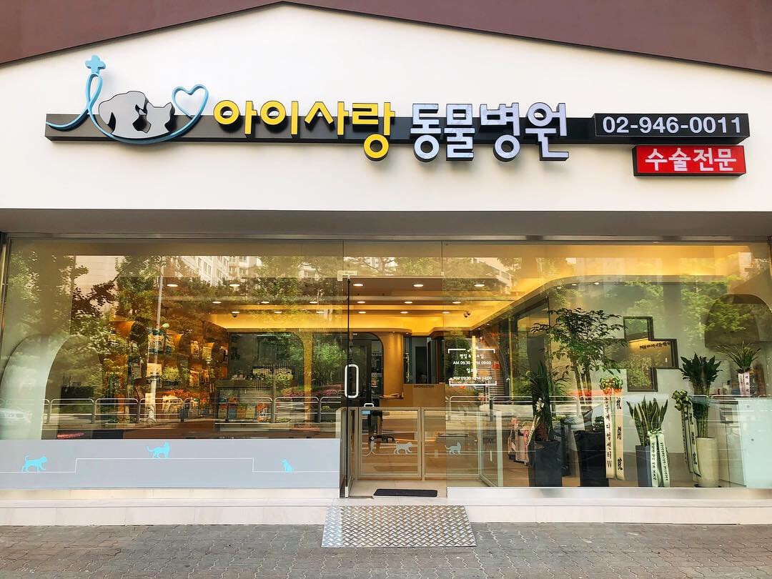 병원 이미지