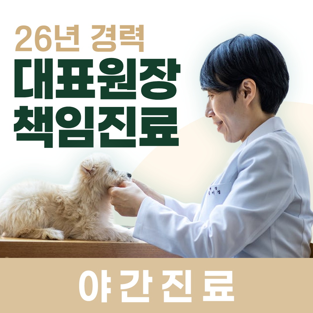 병원 이미지