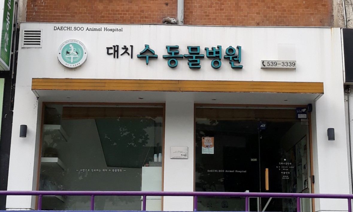 병원 이미지
