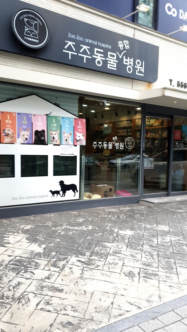 병원 이미지