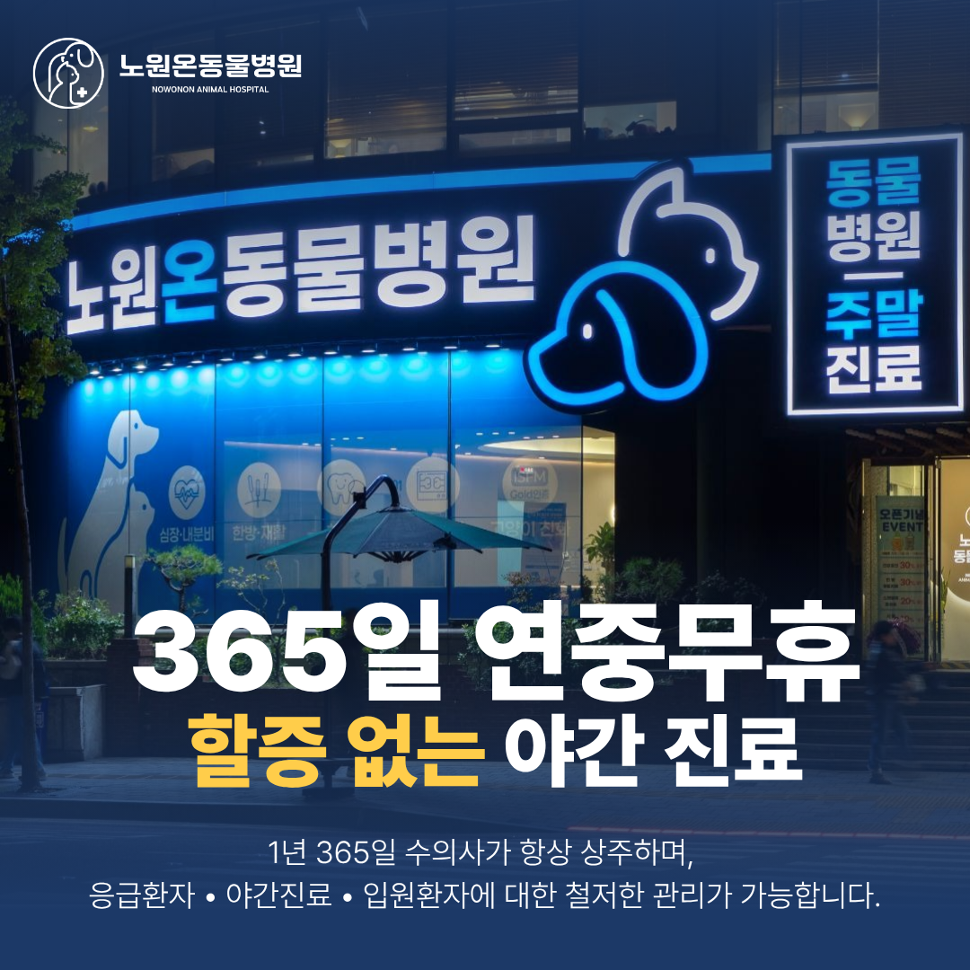 병원 이미지