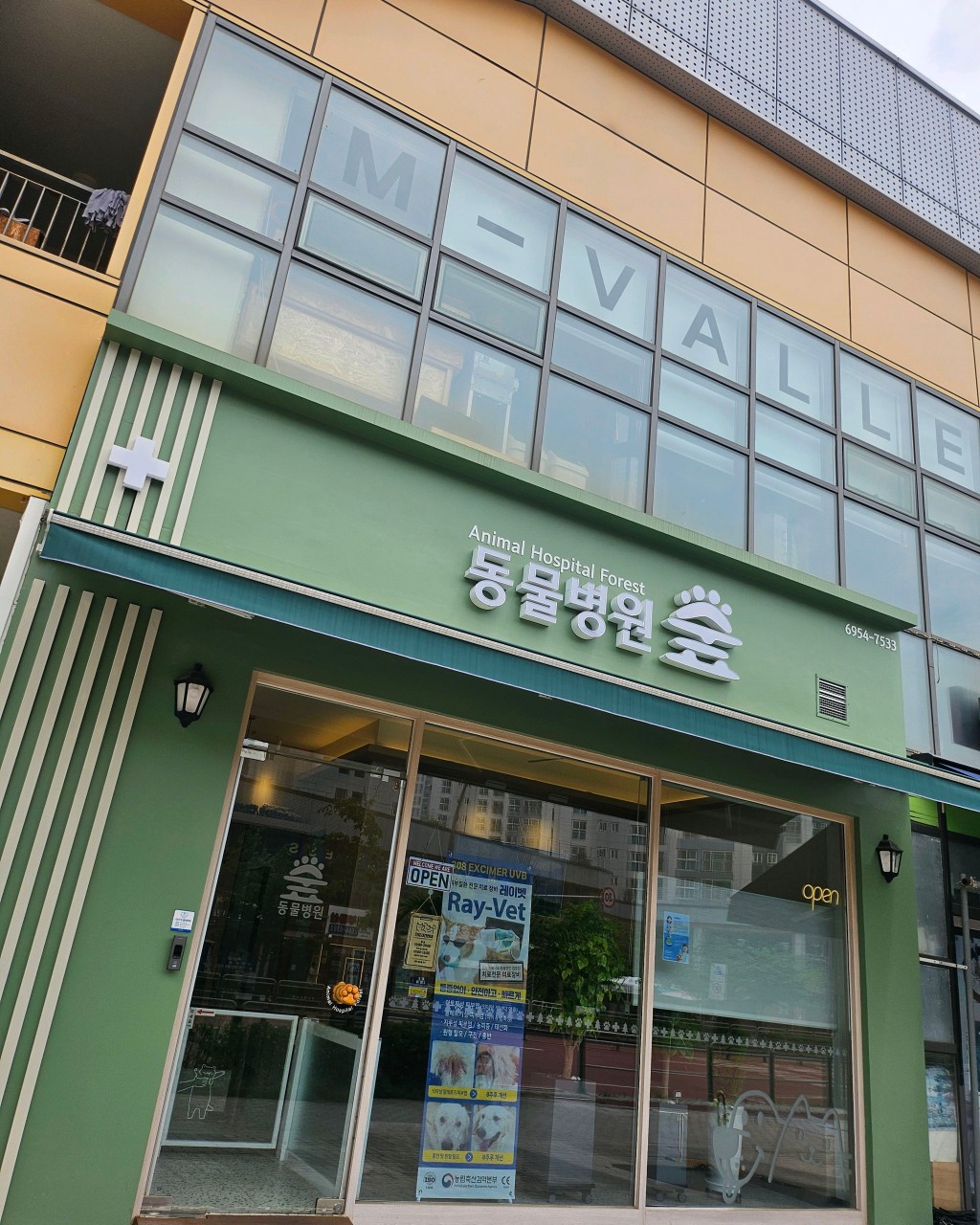 병원 이미지